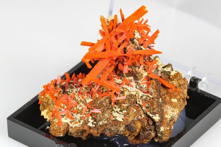 Bright Orange Crocoite Crystal Cluster - Tasmania #182666